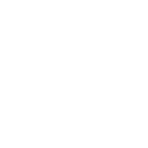 snowedin logo white